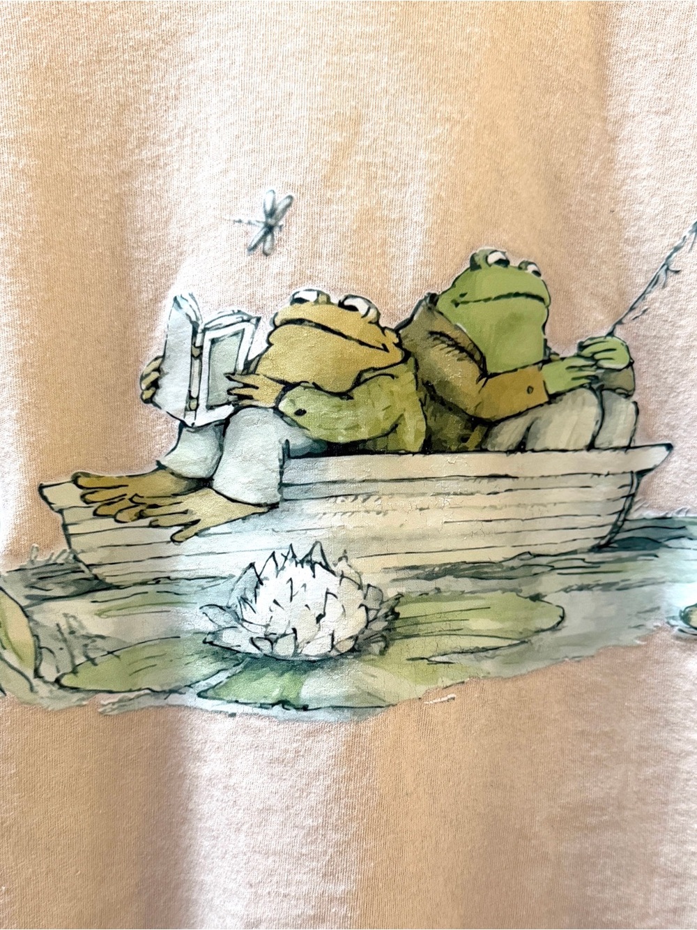 Frog and Toad Boat T-Shirt, Size 3X